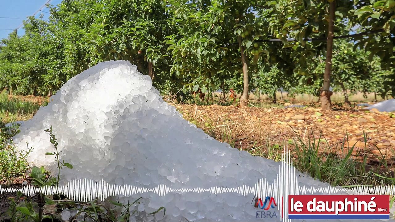 PODCAST « En 10 minutes de grêle, les agriculteurs drômois ont perdu 70 millions d’euros »