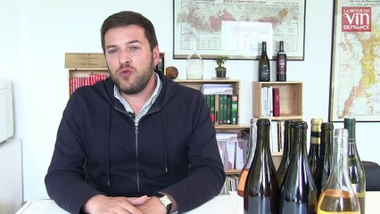 2018, millésime d'anthologie en Côte de Nuits !