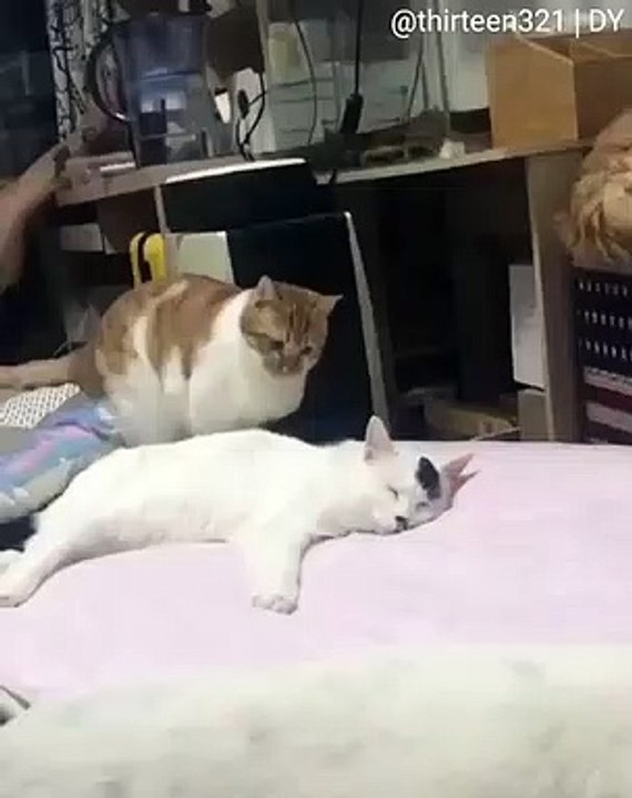 Quand une blague tourne mal, voici ce que ça donne. A pleurer de rire !