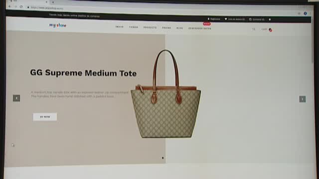 Desarticulada la mayor red de estafas online