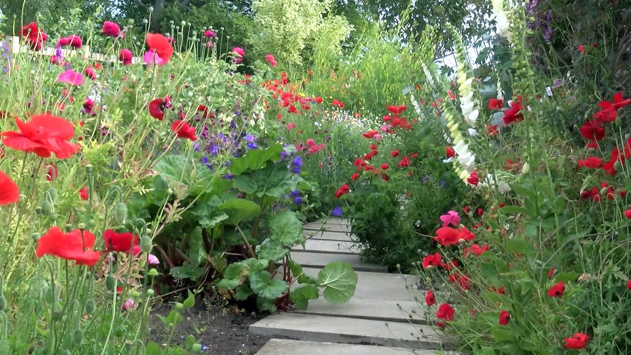 Thornton Hall Gardens!