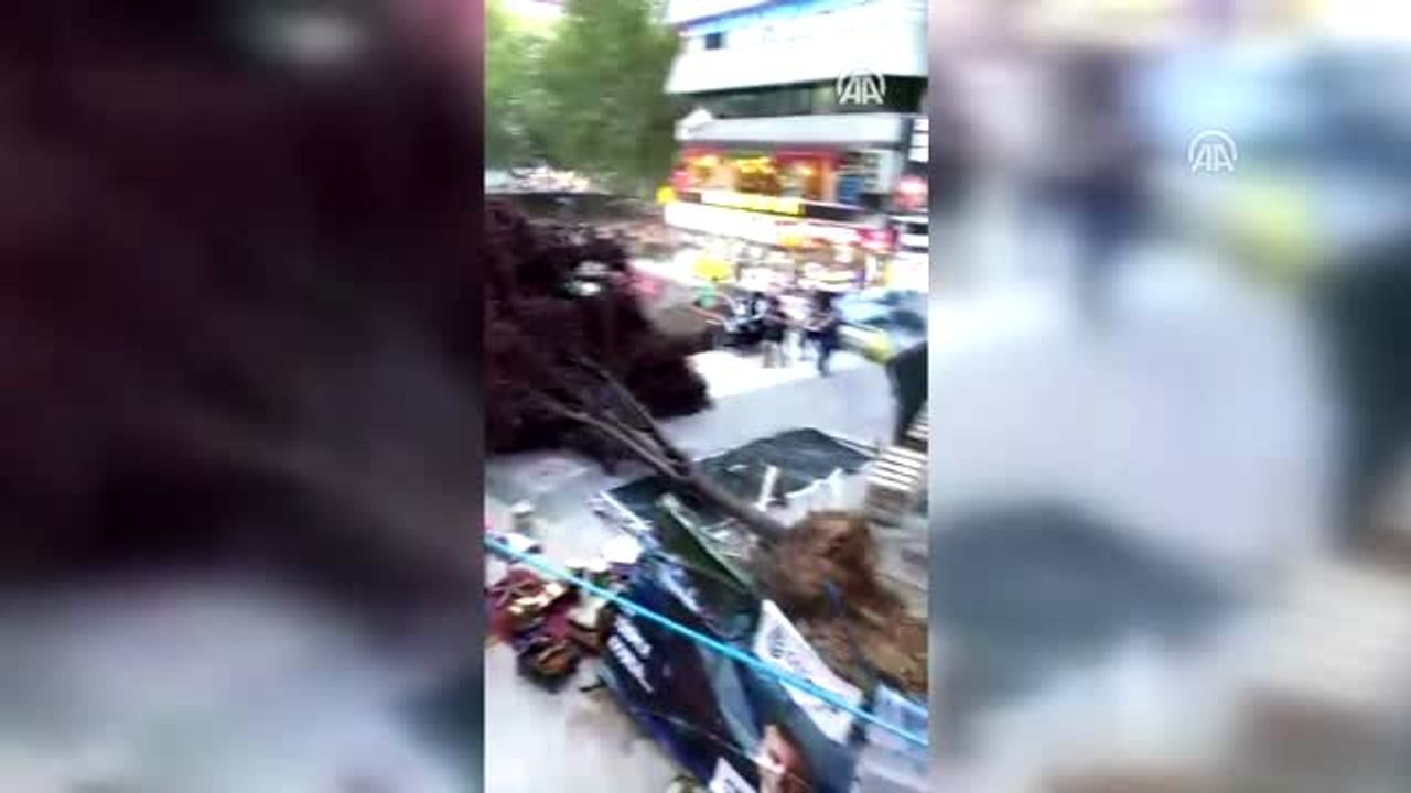Kızılay'da metro çıkışında ağaç devrildi: 3 yaralı - Ağacın devrilme anı