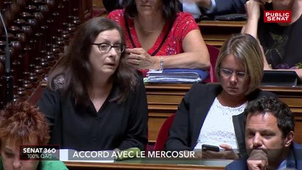 Questions d'actualité au Gouvernement, les temps forts (04/07/2019)