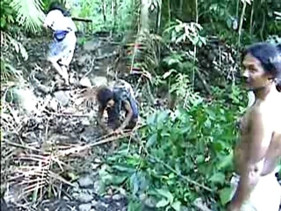 chasseurs ohonganamanyawa