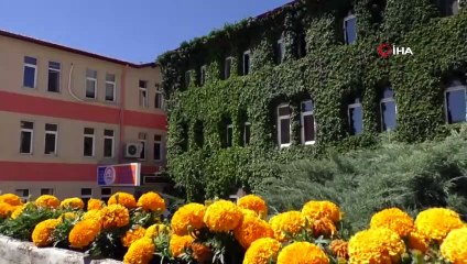 Sarmaşıklarla Kaplı Olan Bina Görüntüsüyle Dikkat Çekiyor