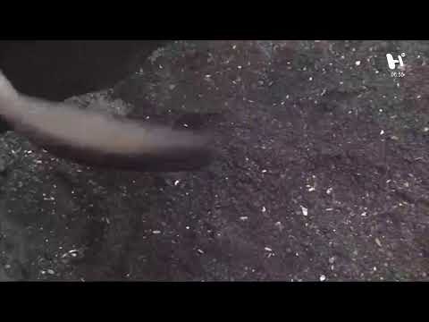 Noticias de la Mañana #noticias #deportes #política con Alejandro Cacho y Alma Saint Martín: