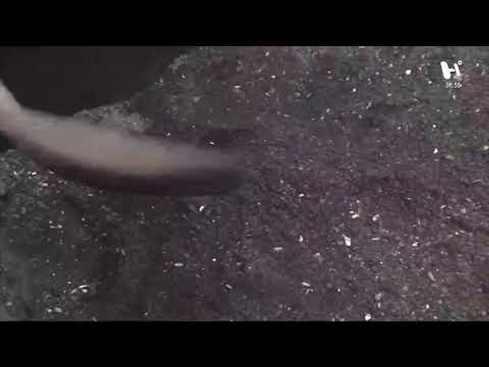 Noticias de la Mañana #noticias #deportes #política con Alejandro Cacho y Alma Saint Martín: