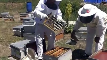Kilosu 8 Bin Lira, Taleplere Yetişemiyor