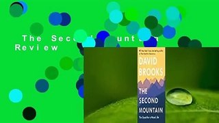 The Second Mountain  Review