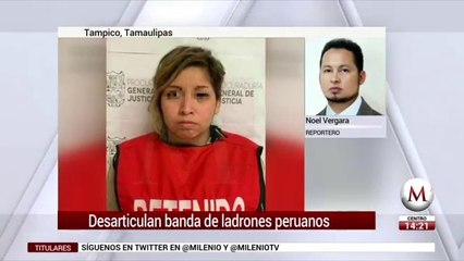 Desarticulan banda de ladrones peruanos que operaban en Tampico