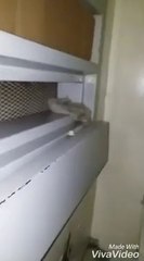 Huracán Michael en la prision / Jem-K un preso en el mundo real