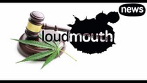 Loudmouth News -  Medical CBD and Vodka Bongs
