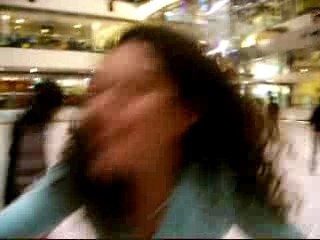 Le dindon à ficelle, une espèce en voie de disparition!