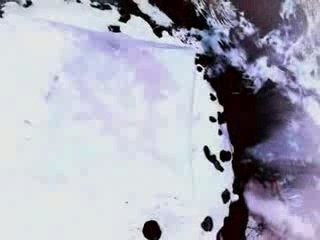 Appliques dub no war