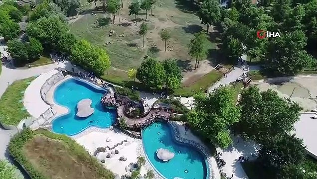 Sıcaktan bunalan hayvanlara buzlu meyve