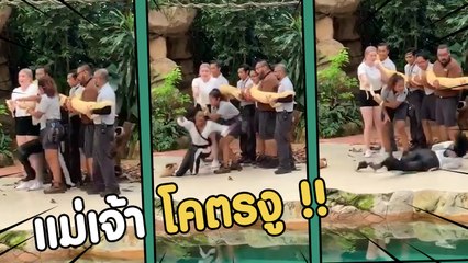 สาวแทบช็อก สวนสัตว์เซอร์ไพรส์กันอย่างงี้ หัวใจจะวาย