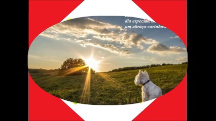 Bom dia meus amores, que vocês tenham um dia cheio de carinho! [Mensagem] [Frases e Poemas]