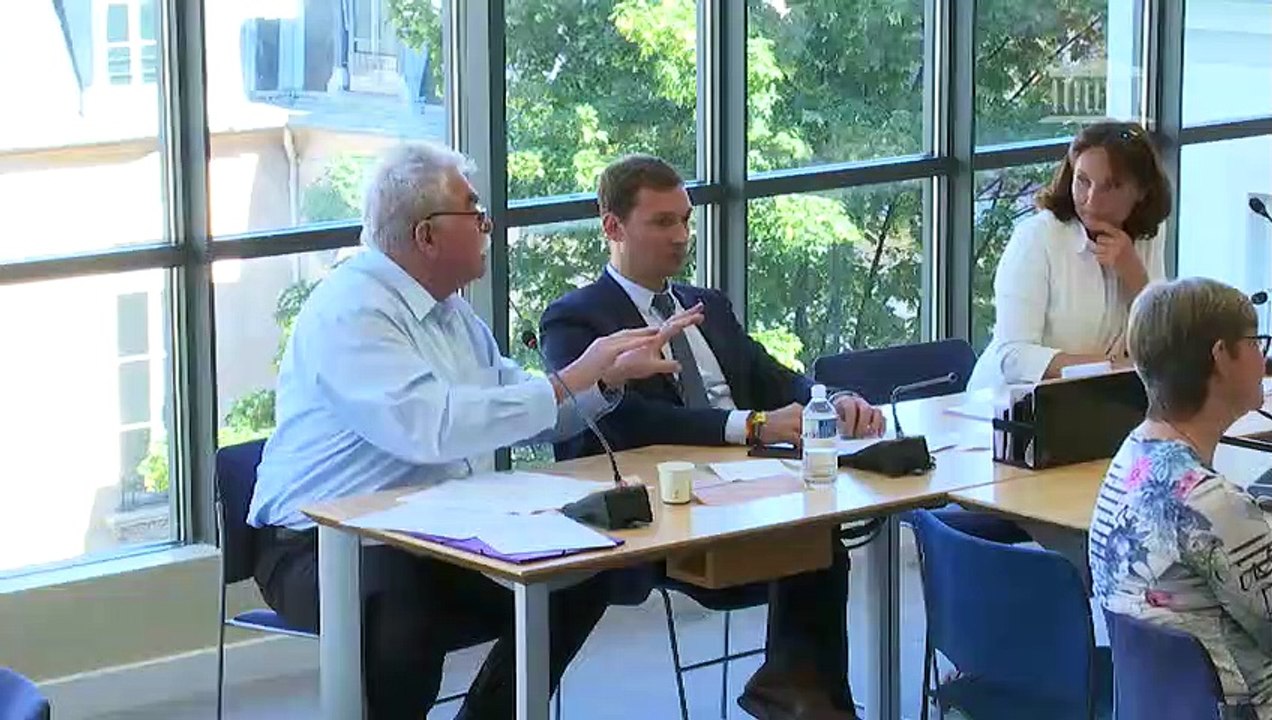 Commission des affaires européennes : Développement durable dans les accords de libre-échange ; Négociations de la Politique agricole commune ; Lutte contre la désinformation - Jeudi 4 juillet 2019