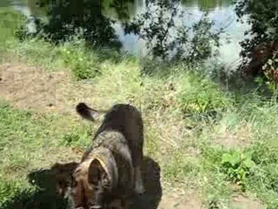 Mon premier grand rôle