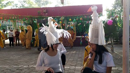 Obra el rey leon - malaysia ladies with funny hats!