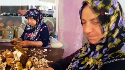 'Sinop Mantarı' Avrupa Mutfağının Baş Tacı