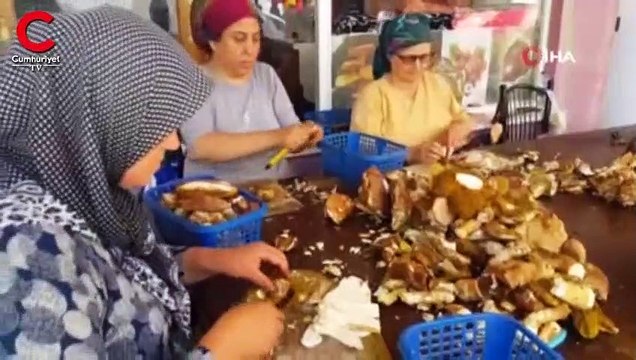 Günde 7 bin TL kazanan var... Toplayıp, satıp, bina yapıyorlar