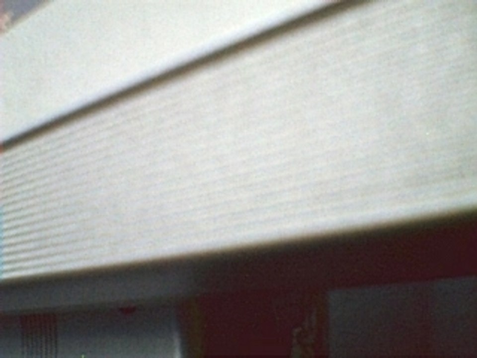 La javanaise S.O.F.I.R