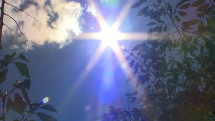 [날씨] 서울 35℃, 올 최고...주말 더 덥다 / YTN