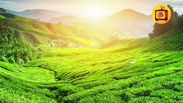 காதல் ஜோடி சில்மிஷம்.. தர்ம அடி கொடுத்த மக்கள்..!