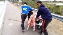 Decenas de personas saquean un camión cargado de carne de cerdo que había volcado en la carretera