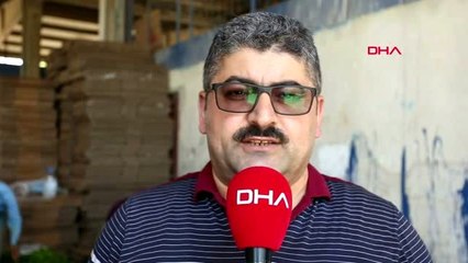 Bursa'da hibrit biber ve fasulye hasadı başladı