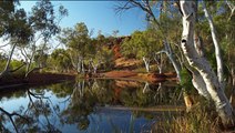 Australien: Alles über Western Australia
