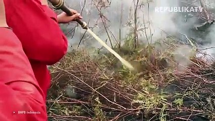 Jangan Bakar Hutan