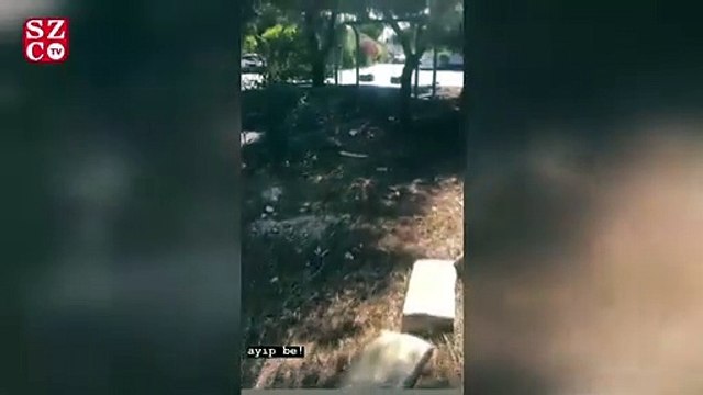 Bergüzar Korel: Gördüğünüz yerde şerrimden korkun