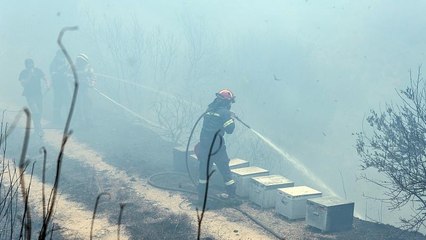Μαίνεται η φωτιά στην Εύβοια - Σε εξέλιξη η επιχείρηση κατάσβεσης