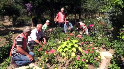 Çöplüğü 22 yıllık emekle botanik bahçesine çevirdiler - AMASYA