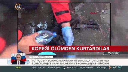 Köpek için seferber oldular