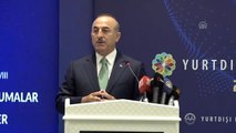 Çavuşoğlu: 