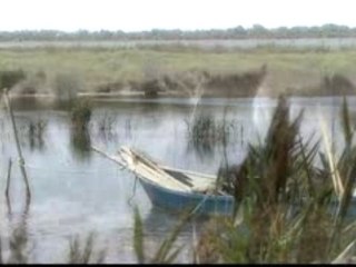 La Camargue et le Cheval passionnément !