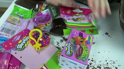 Sophia Isabella e Alice Brincando com Shopkins