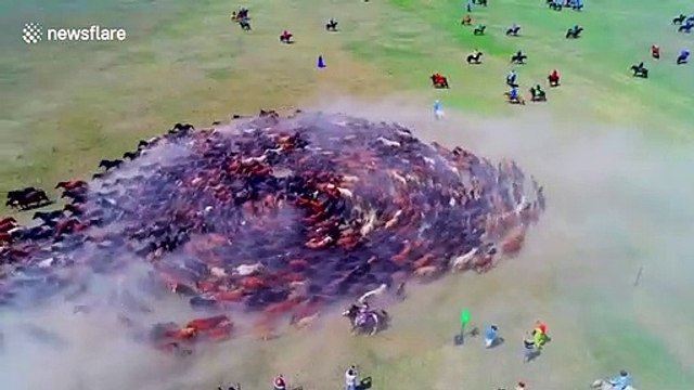 Spectacular drone footage of hundreds of horses spiralling at Naadam festival in China