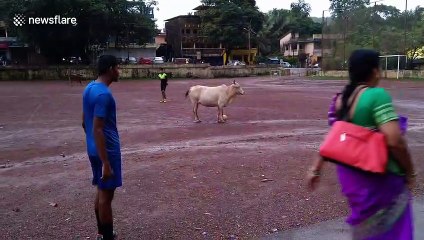 Watch the Indian viral superstar 'Cow-naldo' take on locals at football