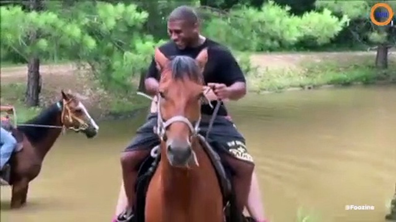 Ce cheval a peur de l'eau