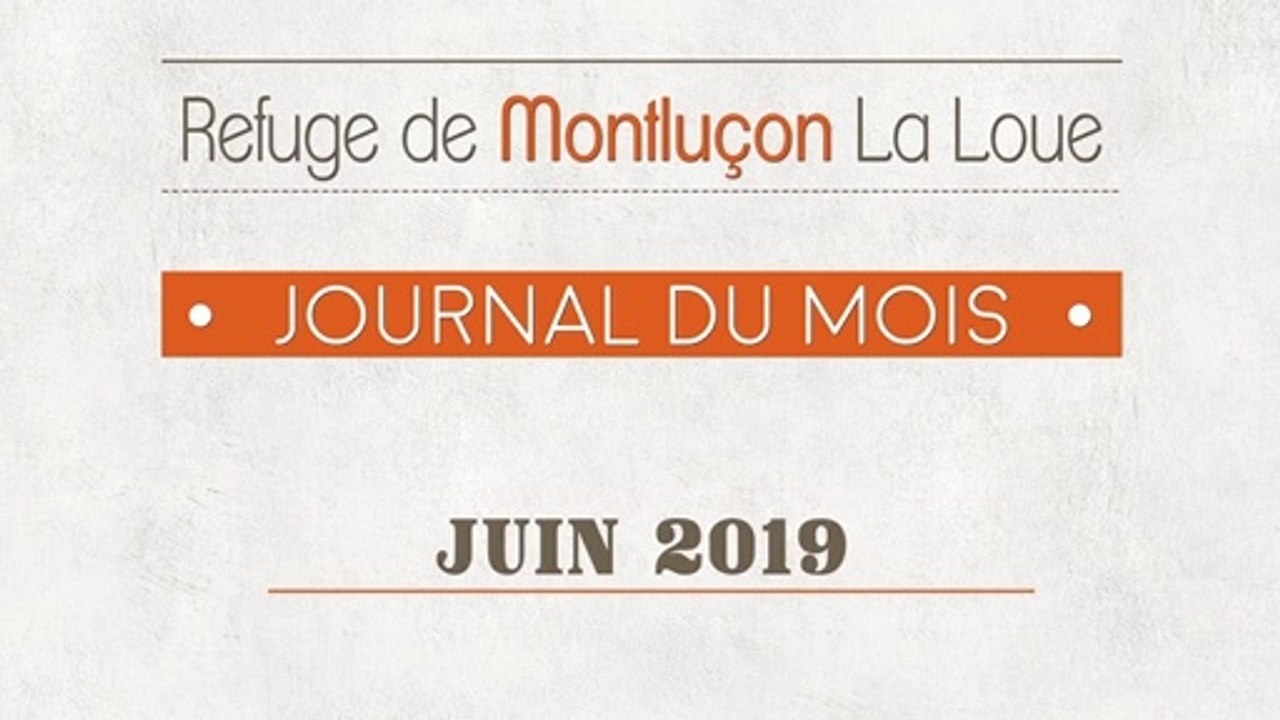 Un mois au refuge SPA de Montluçon : juin 2019