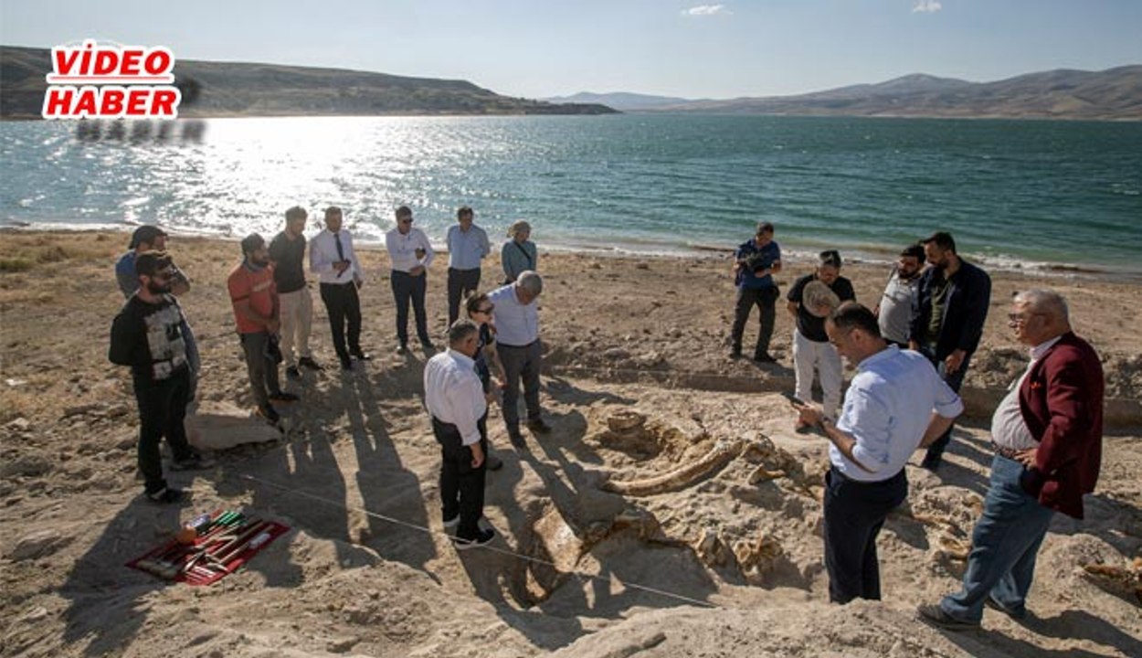 (5 Temmuz 2019) BİLİMİN GÖZÜ TAŞHAN’DA 7,5 MİLYON YILLIK YENİ FOSİLLER BULUNDU