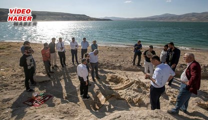 (5 Temmuz 2019) BİLİMİN GÖZÜ TAŞHAN’DA 7,5 MİLYON YILLIK YENİ FOSİLLER BULUNDU