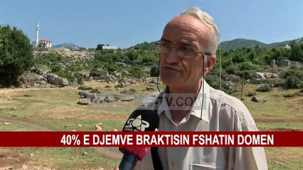 40% E DJEMVE BRAKTISIN FSHATIN DOMEN