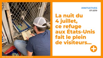 Pendant les feux d'artifices, ces volontaires rassurent les animaux