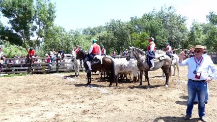 Benavente e Campinos e Cabrestos na Festa da Amizade 2019