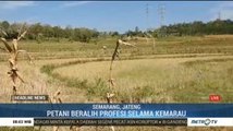 31 Kabupaten Kota di Jawa Tengah Terdampak Kekeringan